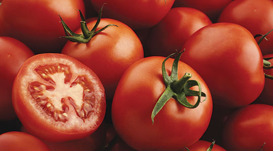 Kako sprečiti pucanje plodova paradajza