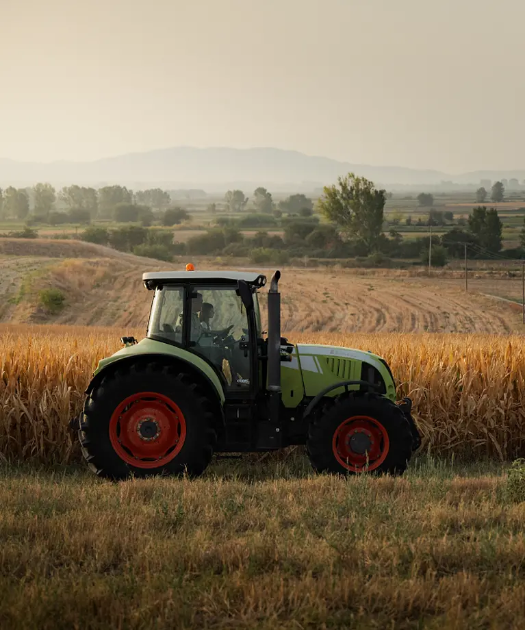 Sezona je strnih žitarica: