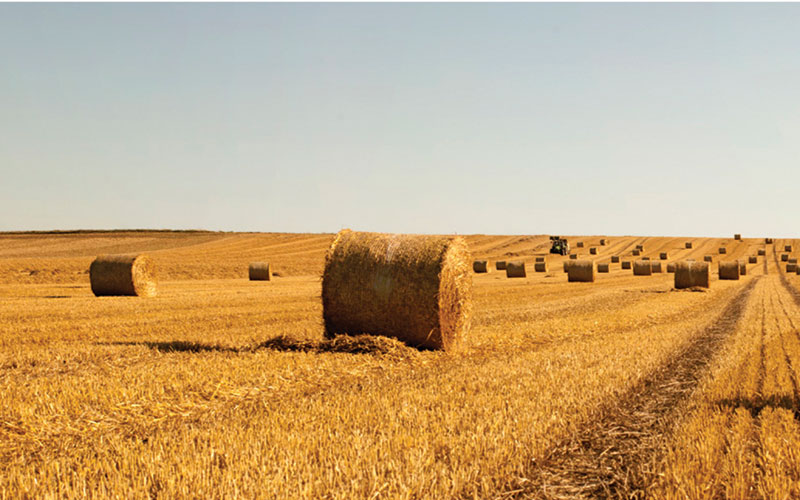 Izvor azota i prolećno planiranje